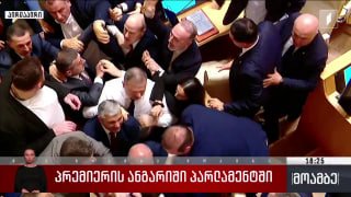 Драка в парламенте Грузии: депутат от оппозиции обвинил премьера в подчинении Иванишвили