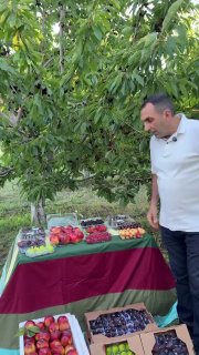 Армянские фрукты из Лорийской области впервые экспортированы в ОАЭ