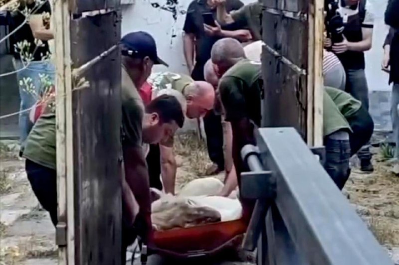 Гибель львицы из особняка Царукяна в Ереванском зоопарке расследуют: подробности для Лори